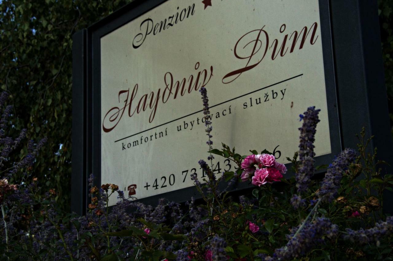 Penzion Haydnuv Dum Dolní Lukavice 외부 사진
